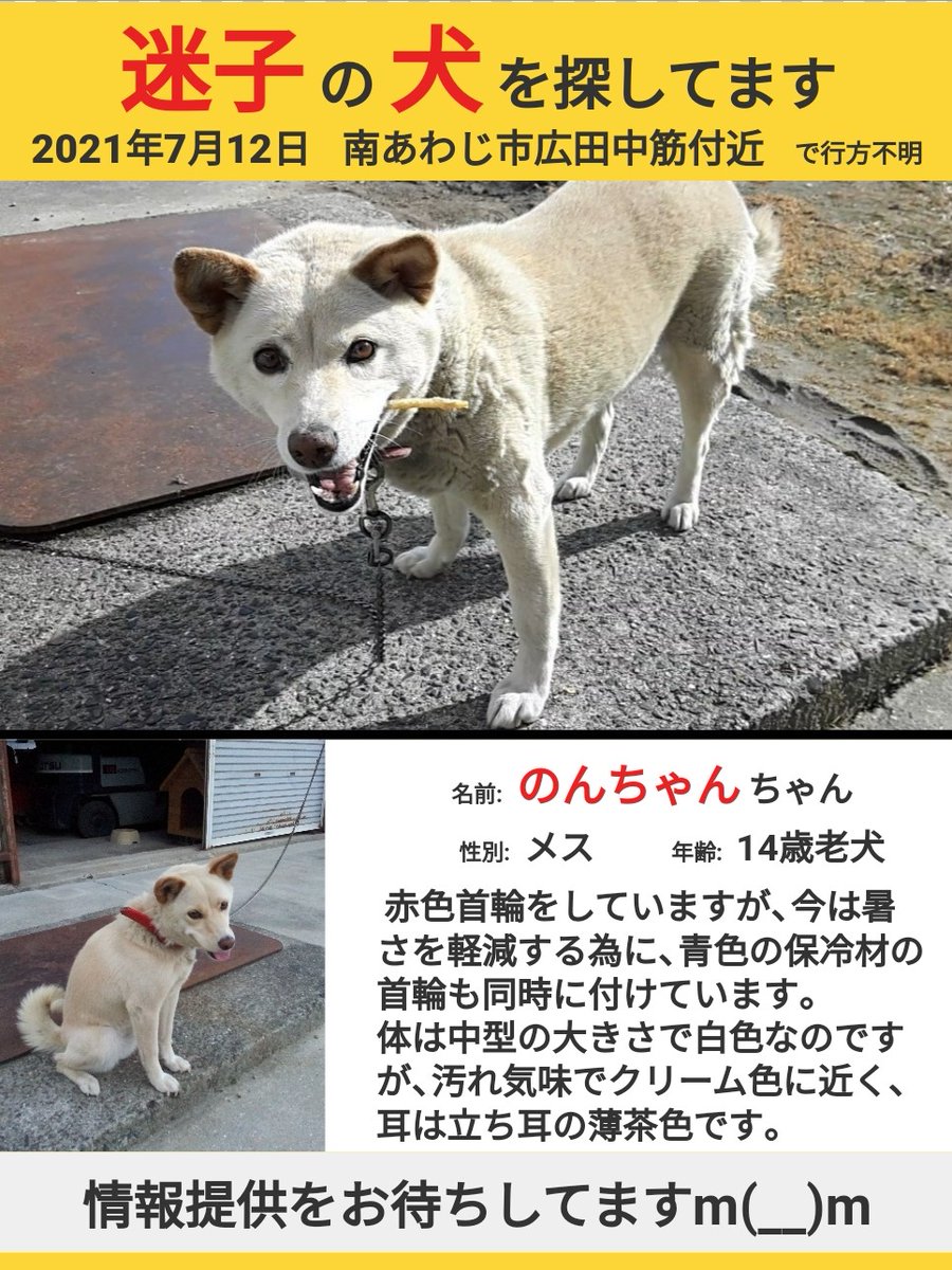 雌犬