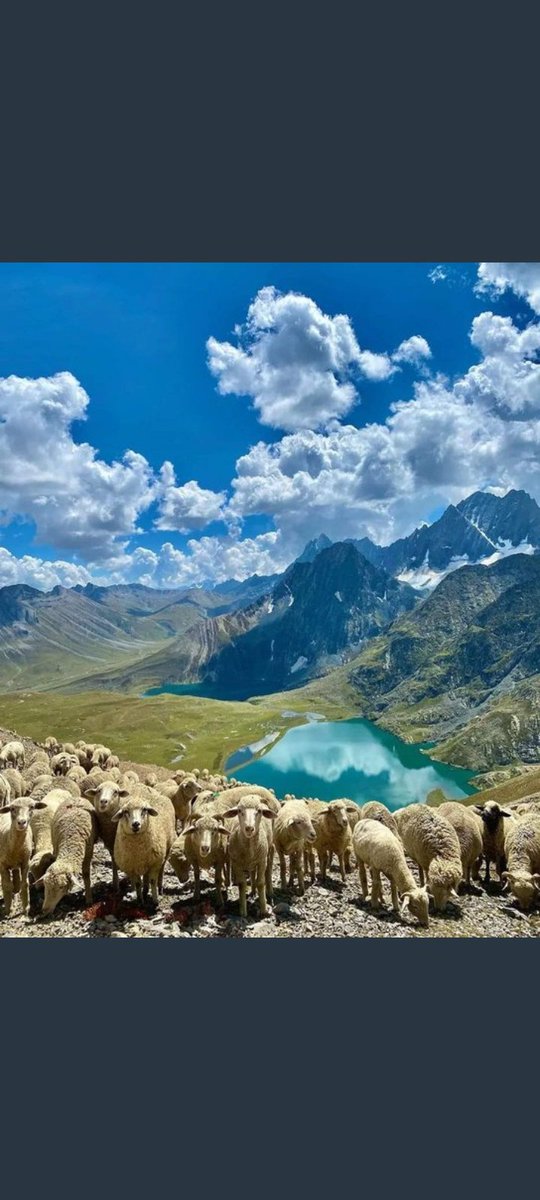 pawanG28279391's tweet photo. #SavioursofKashmir47
#KabailiAttack47                                       
#PakistanAttackFour
#rahbaredawar #kashmir #sofiekashmir https://t.co/xgoyunGiYl