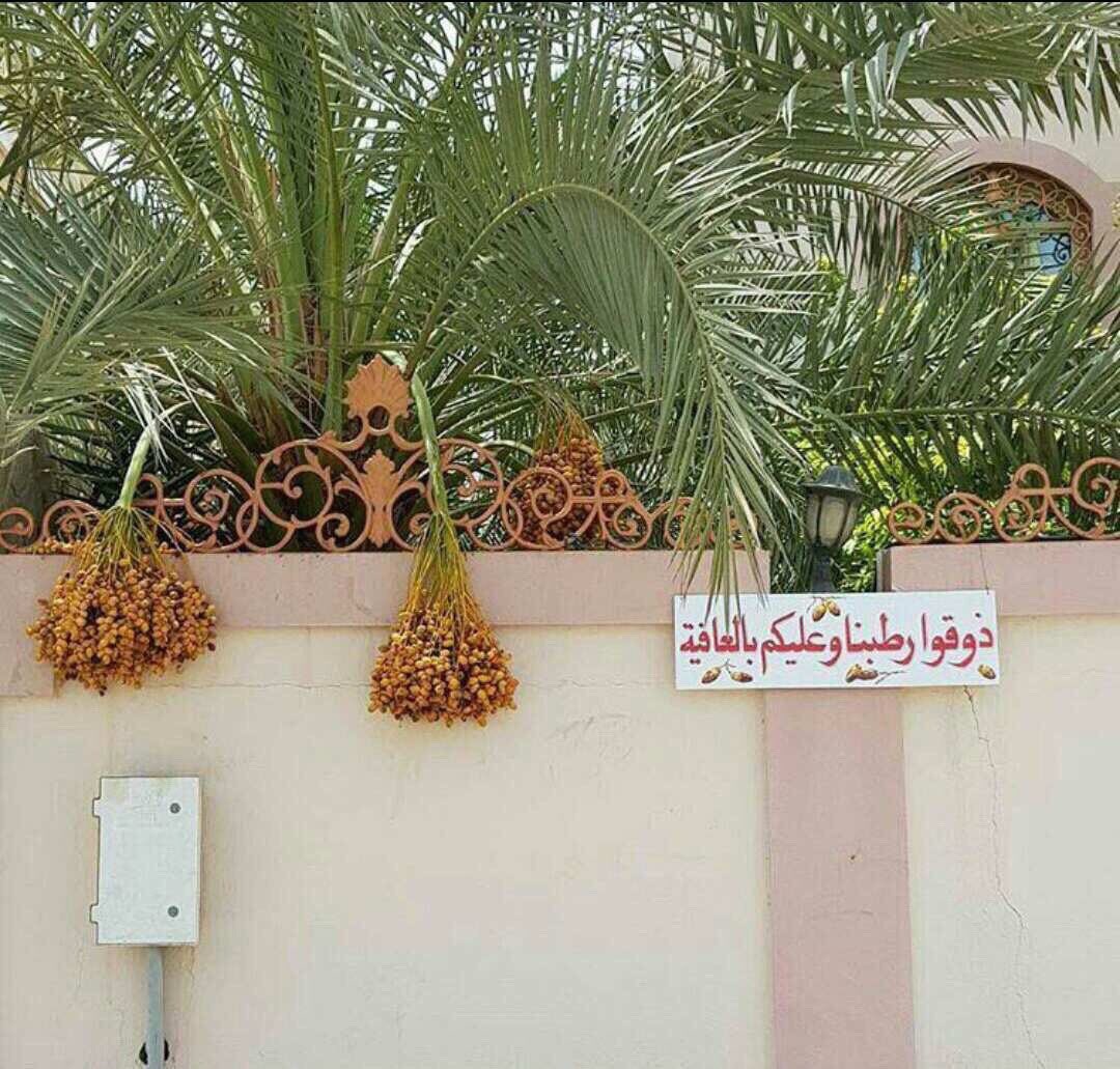ii1Abdulrahman's tweet photo. https://t.co/D7votT0SxL