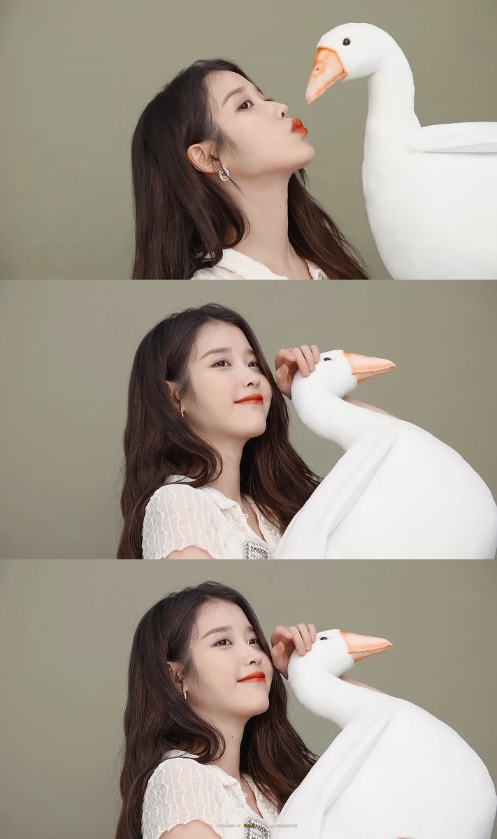 ajjjd_'s tweet photo. 🗓️🐿️🦢🐅 https://t.co/Xu0NLSH0dE
