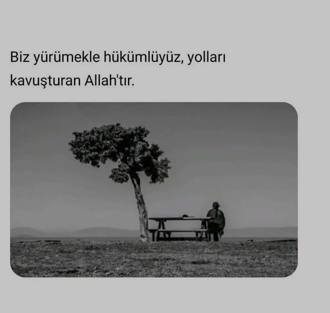 𝓖𝓾𝔃𝓮𝓵𝓵 𝓒𝓾𝓶𝓪𝓵𝓪𝓻🖤