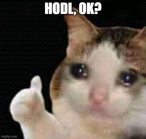 chinesebatman_'s tweet photo. Just HODL on your catecoin! :)

#catecoin 
#CATE 
#CatsOfTwitter 
#CateArmy 
#TAParmy 
#nextshiba
#100xgem 
#X100GEM 
#teamCATEkat 
$CATE https://t.co/qK2hjDQy65
