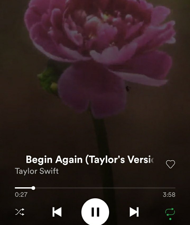 Furnish_'s tweet photo. currently screaming #redtaylorsversion #BeginAgain #TaylorSwift @taylornation13 https://t.co/wuaDElxJbz