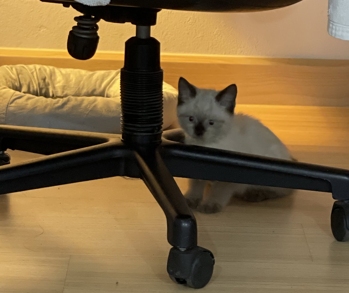 หัวเท่าล้อเก้าอี้ยังจะมาทำเป็นซ่า หลบมิดมากมั้ง55555555555555555