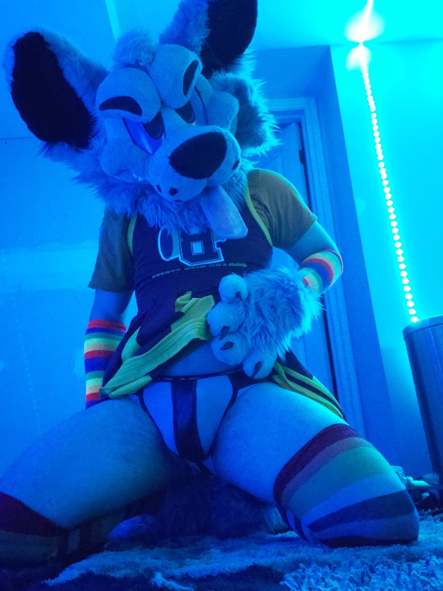 Badbluewolf1's tweet photo. Here you go to all the horny furs out there. #Thristythursday https://t.co/uA8d6YO8eQ