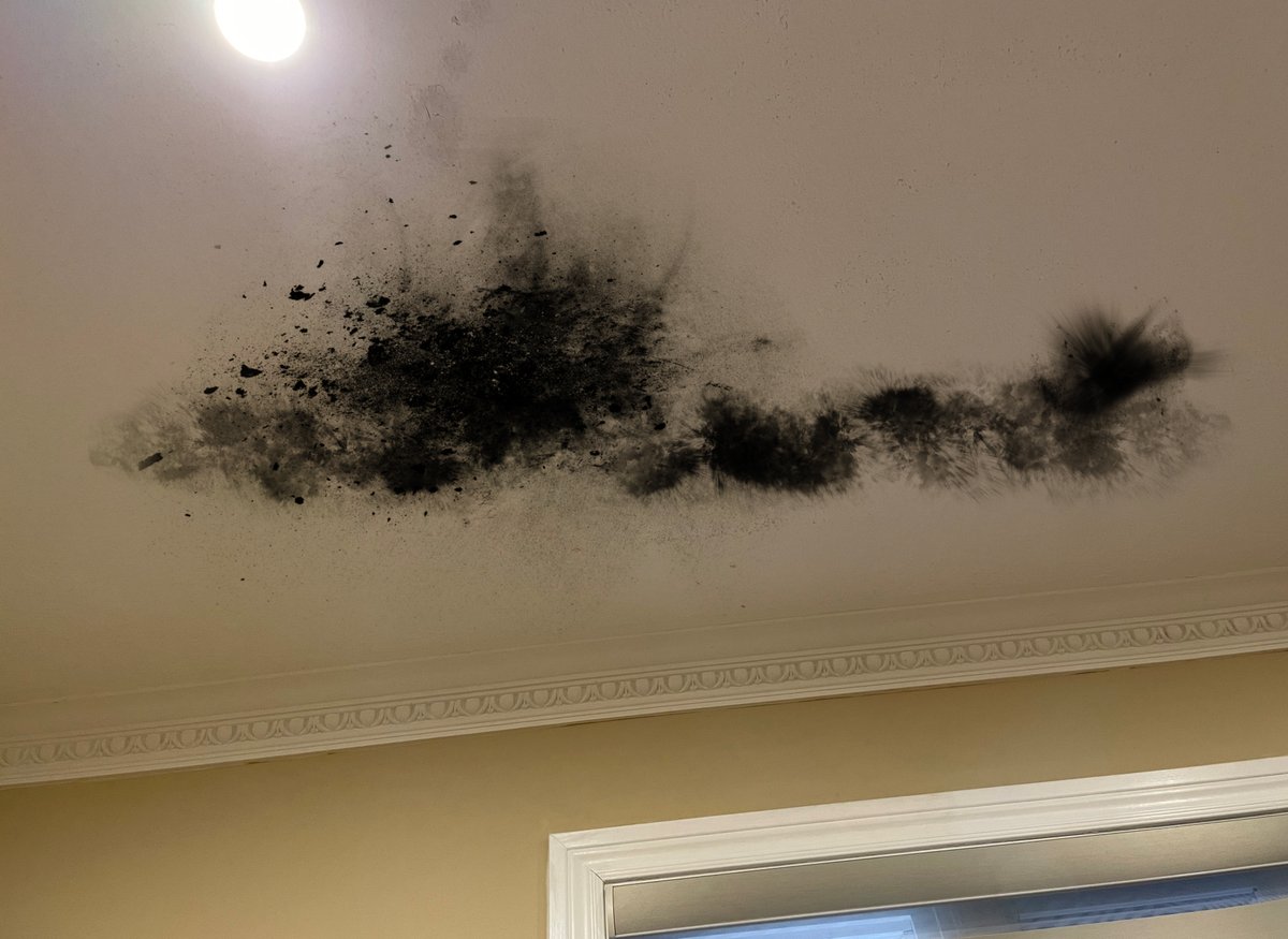 A BTS shot of my ceiling after the latest Omegle video! Oh the lengths I go for good content 😂