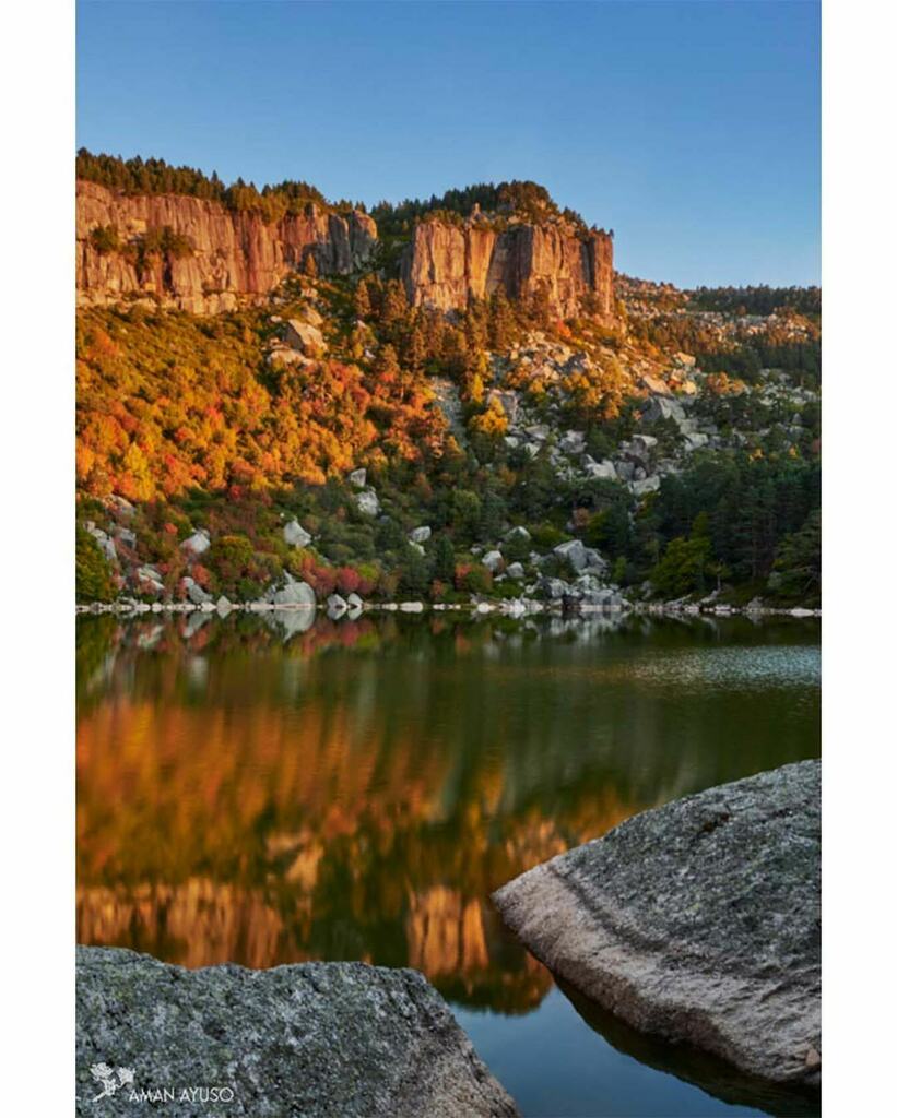 aman_ayuso's tweet photo. Wishful Thinking #tardor #autumn #tree #color #landscapephotography #landscape #nature #arbres #muntanya #naturephotography #natura #forest #reflection #aman_ayuso https://t.co/5CXCCoruTq https://t.co/vT8uXFFN42