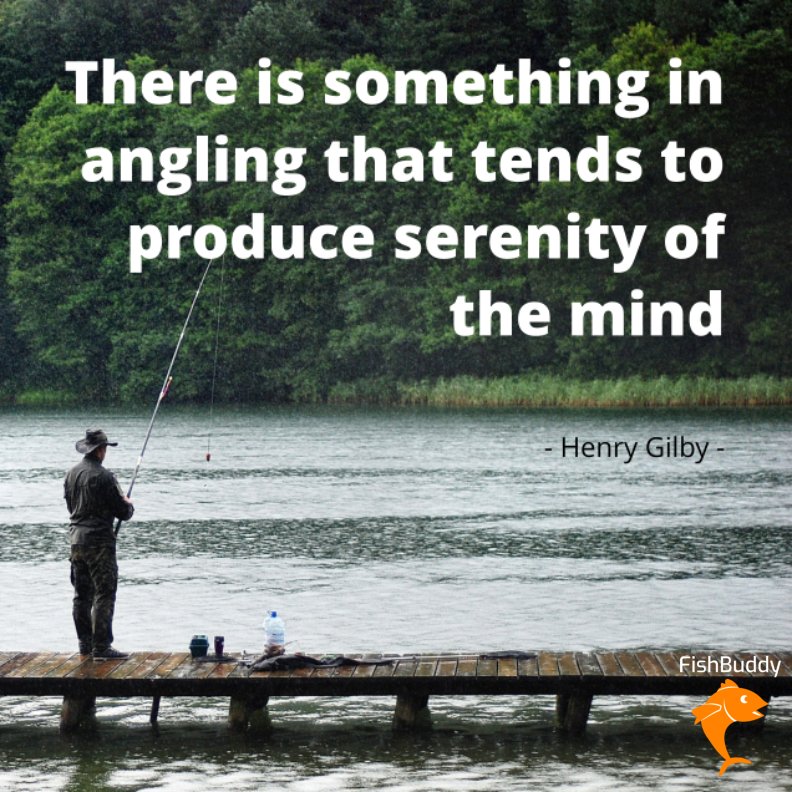 FishBuddy_UK's tweet photo. IT'S FRIDAY!!! 😁👍 Who is getting out there this weekend? https://t.co/KXXlBtDXVb