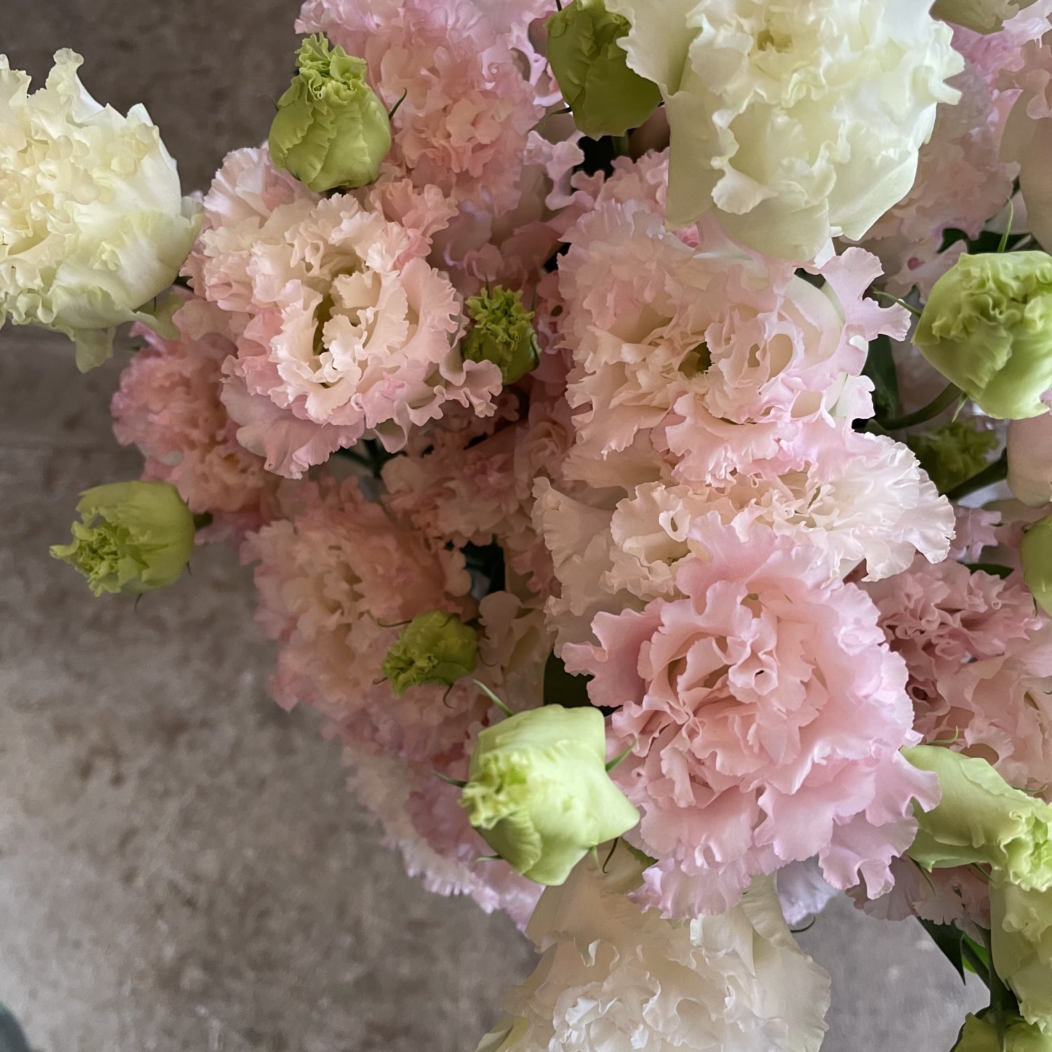 Twitter 上的 D Ici Peu 毎日ひと花 トルコキキョウ ボヤージュライトピンク T Co Jvrztyfl4t Twitter