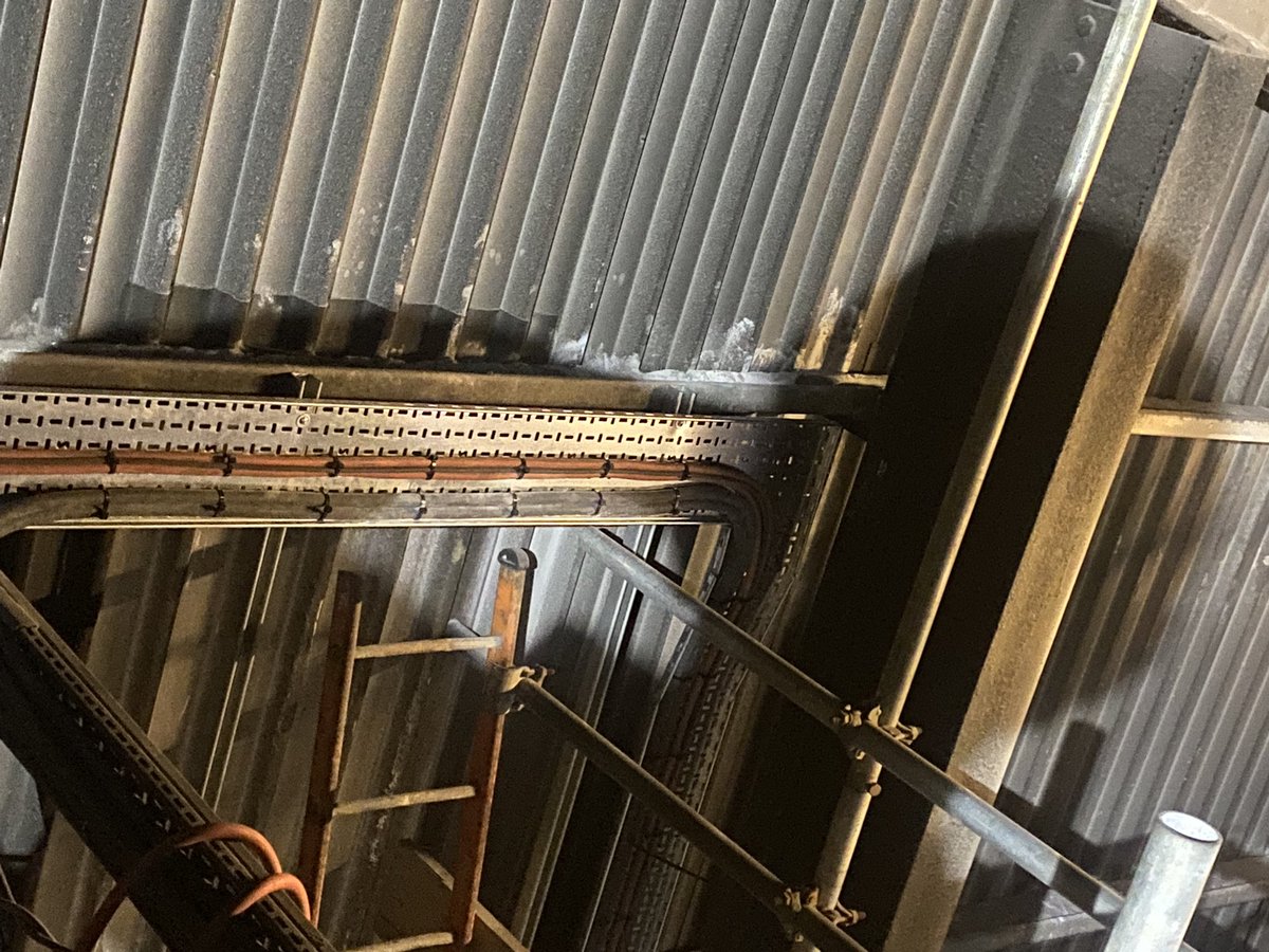 7 months this boys been with us. 17 years old. 90 bend made and cables tied. Smashing it this one.