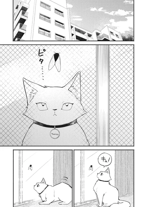 拾った猫がイケボだった話⑨
#イケボ #猫 #イケボキャット #出迦オレ (1/2) 