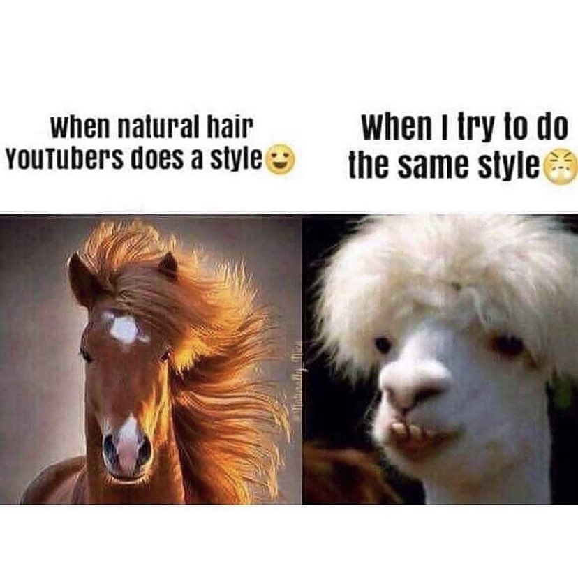 frosncurls's tweet photo. It really be like this though 😩😂 https://t.co/gf8MrdnYl4