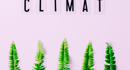 EcomnewsAfrique's tweet photo. Le #Kenya reçoit un prêt de 150 millions $ lutter contre le #changementclimatique https://t.co/lUl9BRWB2G https://t.co/XE4UpGhcK9