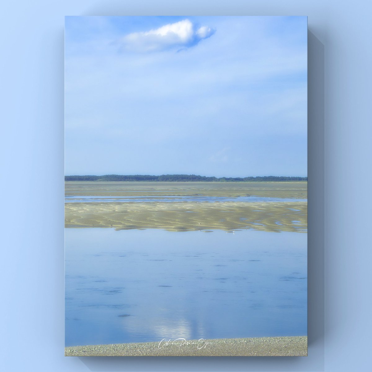 CelinePivoine's tweet photo. Marée basse à la pointe du Hourdel en baie de Somme
📩 Infos & tarifs en DM
#bleu #baiedesomme #mareebasse #pointeduhourdel #plage #mer #paysage #landscape #nature #france #francetourisme #nuage https://t.co/mGKtFiOl1X