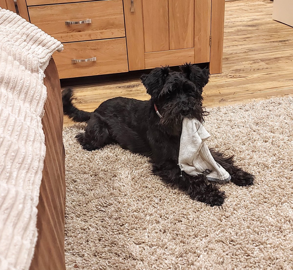 Happy Friday pals! 🐾🧦🤗