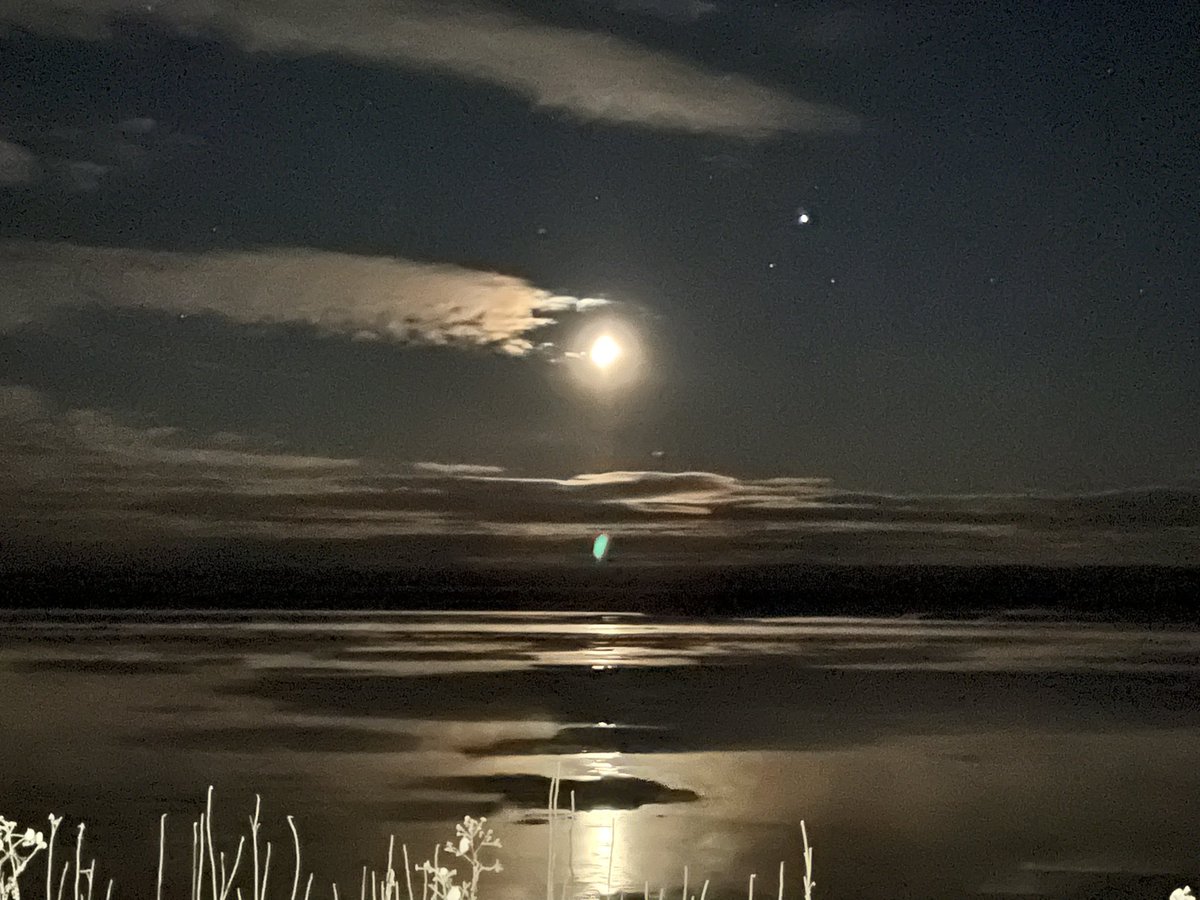 BKokrine's tweet photo. Yukon River Nights. 11.11.21 Galena, Alaska approx 7:00 pm https://t.co/4Zcn1X1iJk
