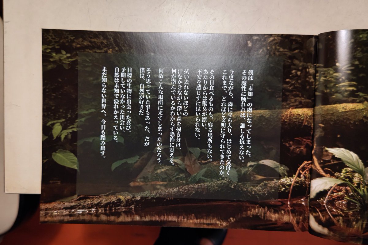 coffeecafekoko's tweet photo. 「ようこそ未だ知らない世界へ」という本には、生物が好き❤️という気持ちが溢れていた。本の売上の8割を、ムカデの研究費にあてるとか!
当店の本コーナーにも置いてるので、お気軽に見てね!
TERMINAL LEGS
https://t.co/gi0UhPKykT
#TERMINALLEGS
#ようこそ未だ知らない世界へ
#喫茶ココ
#生物 https://t.co/PWKlmHapeR