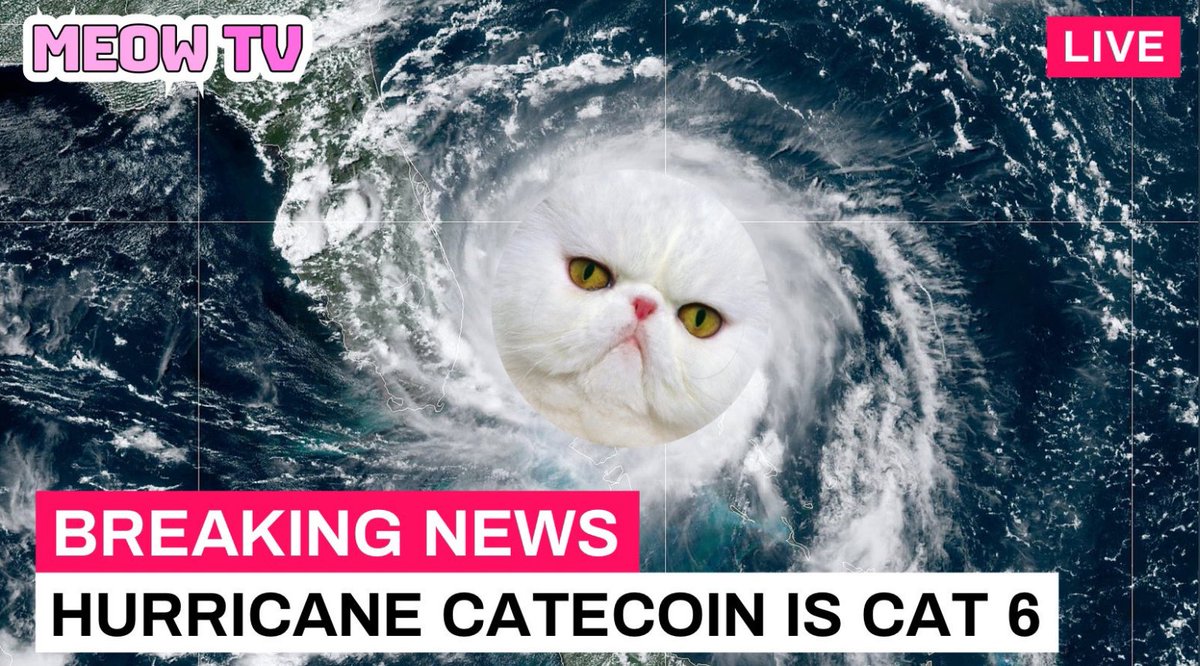 CateCoin tweet media