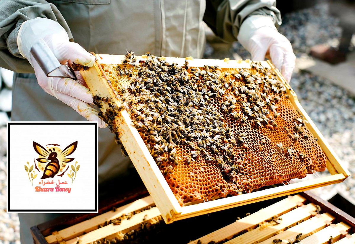 KHAZRA HONEY is a verified supplier on silkways.com and Afghanistan verified Honey supplier. If you are looking for bee products: honey, royal jelly, pollen, propolis and bee venom. 

vendor: silkways.com/product/khazra…
PLACE YOUR INQUIRY NOW!
#silkways