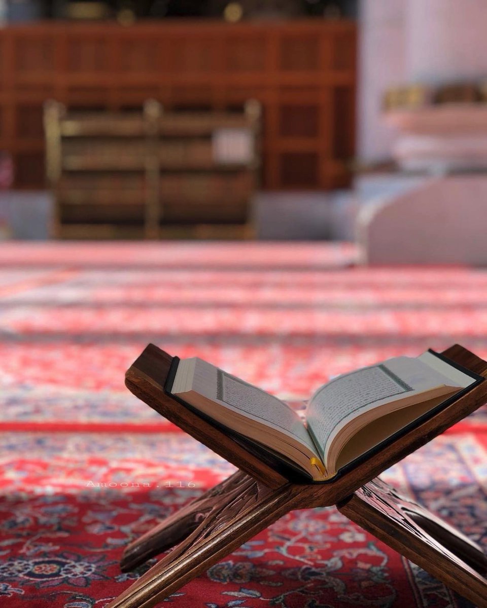 #يوم_الجمعه

عليك صلاة الله حبًّا وطاعةً
وأنت لنا بُشرى وذكرٌ ومنقذُ

تبوأت في الإسلام ركنَ شهادةٍ
فما لجنان الخُلد دونك منفذُ 🌹🌷