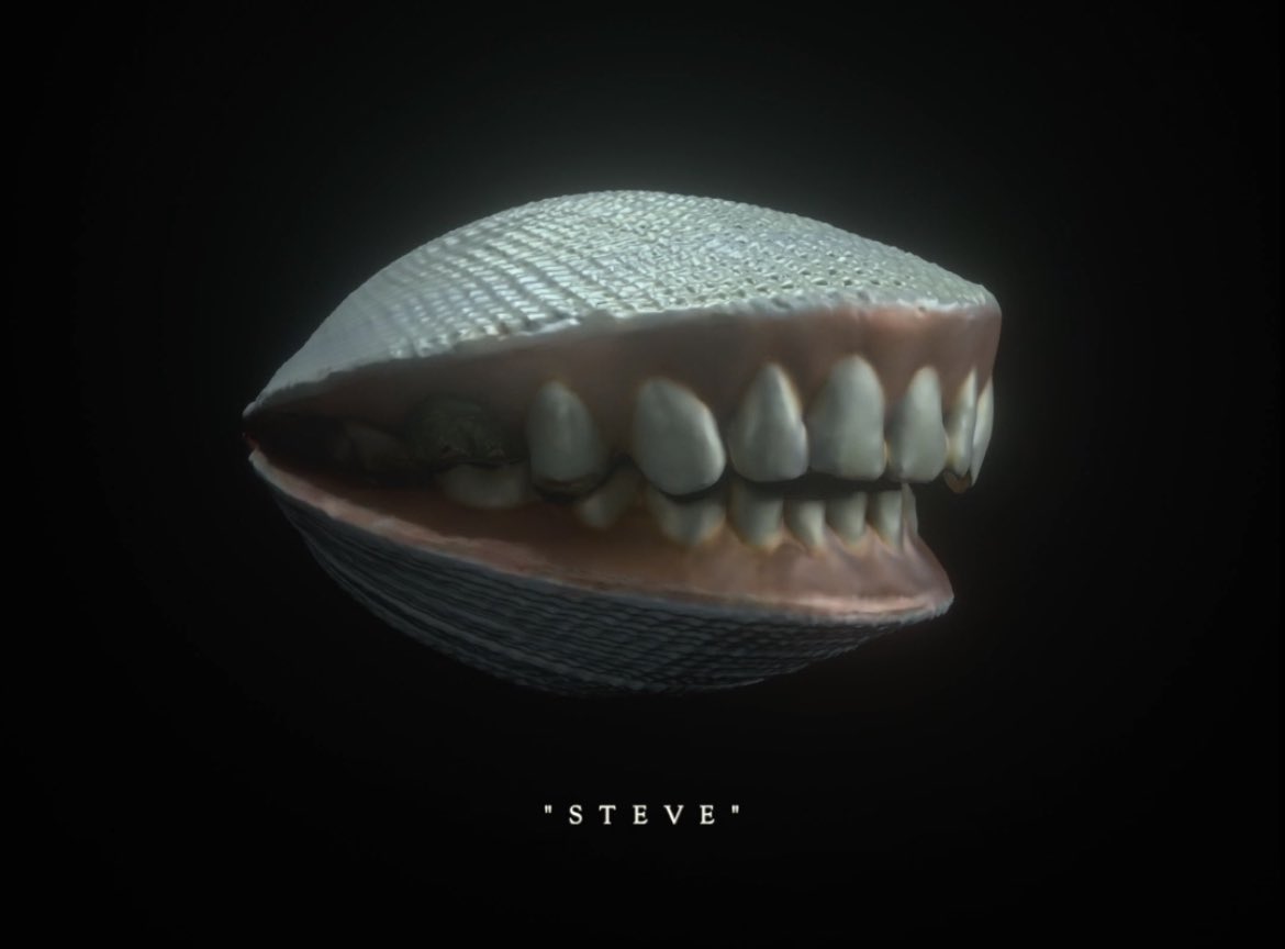 gremplin's tweet image. We like the toothy clams @beansofjohn 😍