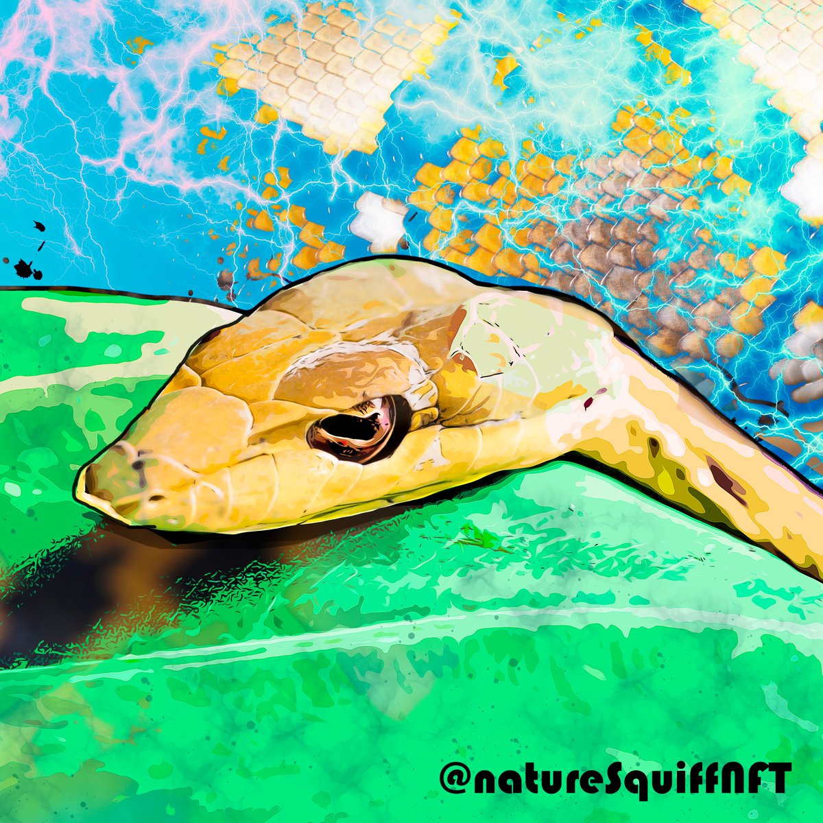 junglejon2's tweet photo. Snakeday!
#natureconservation #snakeart #nft #nftart #nftartist #nftcollectors #nftcommunity #nftthailand #nftdrop #nftgiveaway #nftproject #snake #kollectnft https://t.co/dlAHKLv5MS