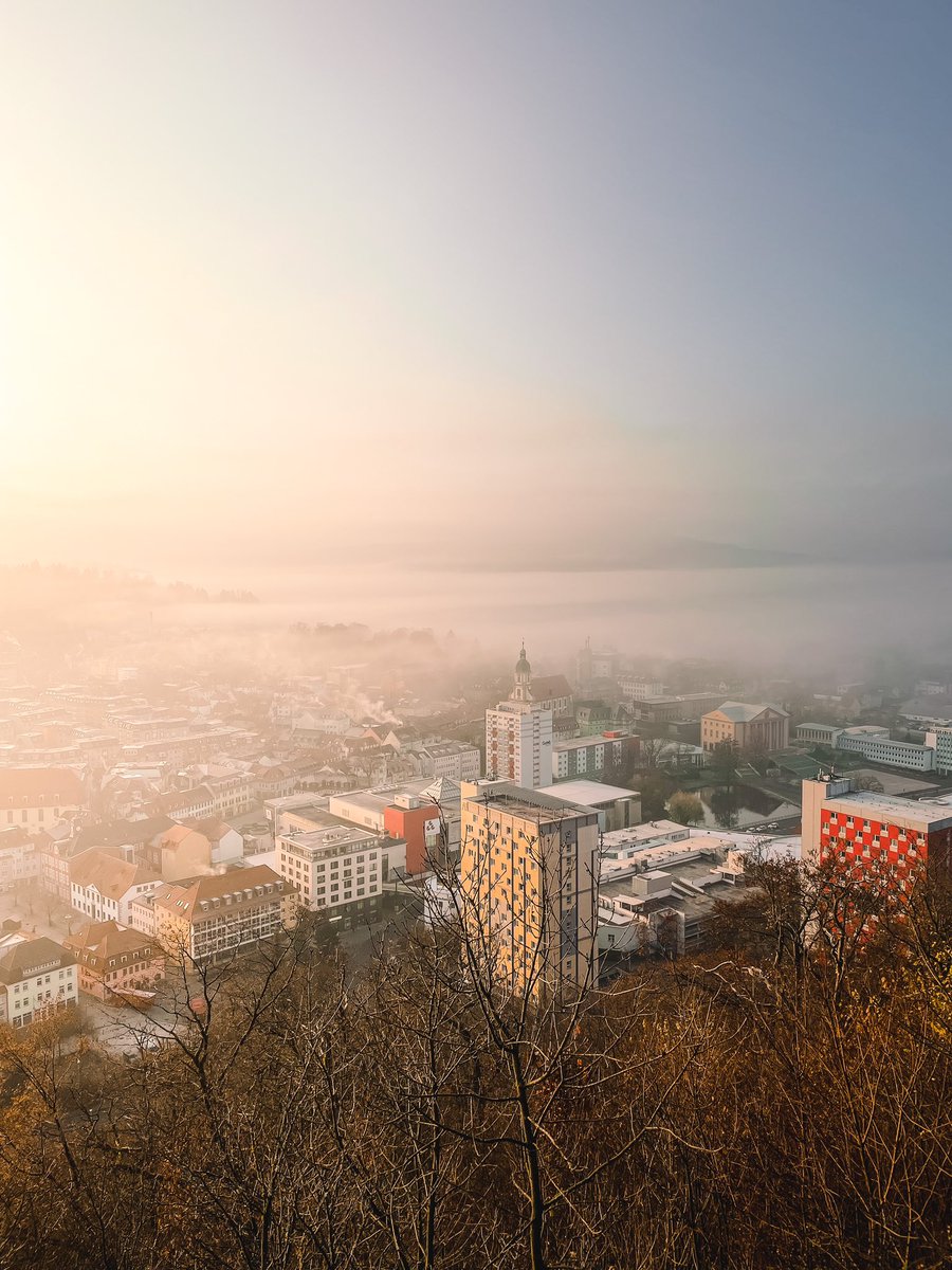 speer_philipp's tweet photo. GM Twitter. ✌️ #Autumn #morningvibes #fog #tones https://t.co/2qUb3pb8KC