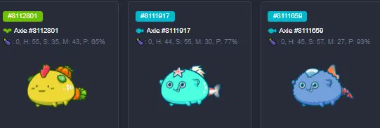Axies_Mafia's tweet photo. We got an open scholarship slot!

- apply in the comments
- tell us why we should choose you
- convince us to pick you

This is the team...

#AxieInfinity
#AxieScholarship 
#axieinfinityscholarship 
#AxieScholar https://t.co/RU6zH5DF4A