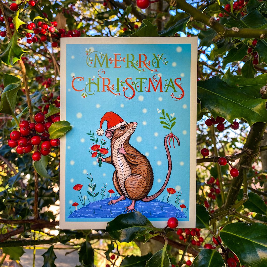 Hello all, they are finally here and up in my shop now. 5 new bright and cheery holiday season card designs for 2021. Cards are left blank so that you can add your own message. you can get a better look in my little online shop
houseofhawks.bigcartel.com thank You for looking.