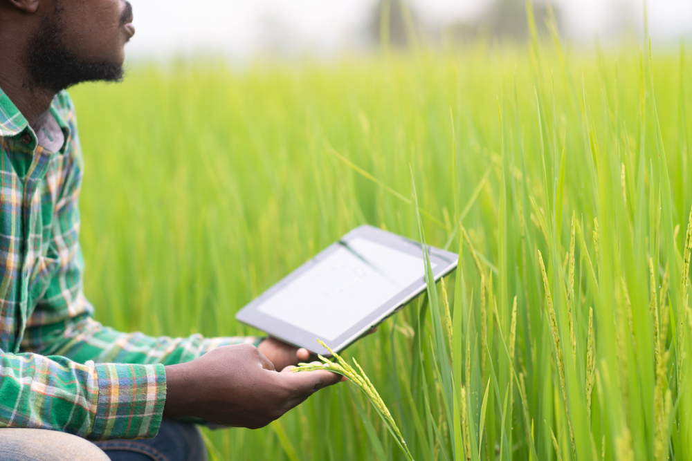 AfDB_Group's tweet image. #AfricaCOP26: The African Development Bank Group has launched its #ClimateChange and #GreenGrowth Framework, the first of its kind by any multilateral development bank. #COP26

More: bit.ly/3wBYg50