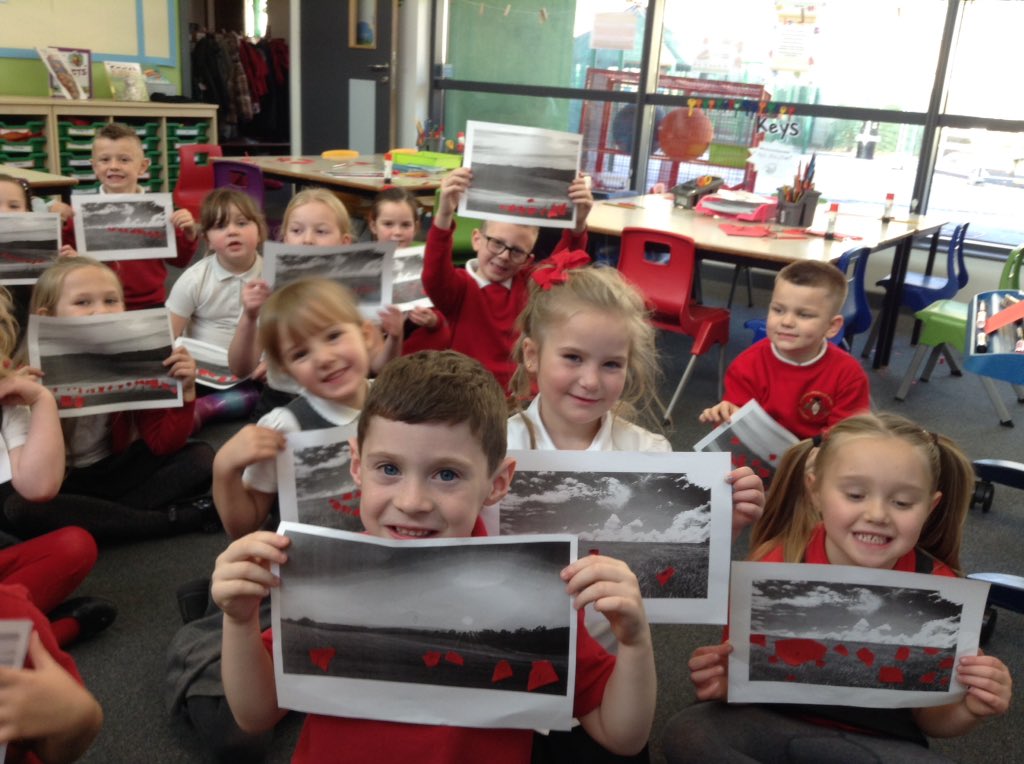 Sandhill Primary Snowy Owls tweet media