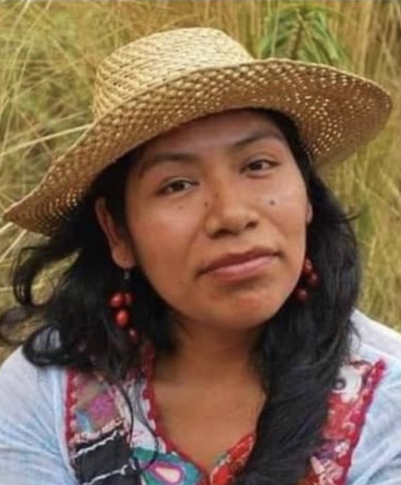 VIM_Media's tweet photo. Irma Galindo Barrios, Indigenous Mixteca defender of the Ñuu Savi Forest in Oaxaca, has been missing since October 27, 2021.  Since 2018, the activist has faced “intimidation, harassment, persecution, smear campaigns &amp; death threats” by public officials because of her work. 😔😡 https://t.co/lLh1PFSBUK