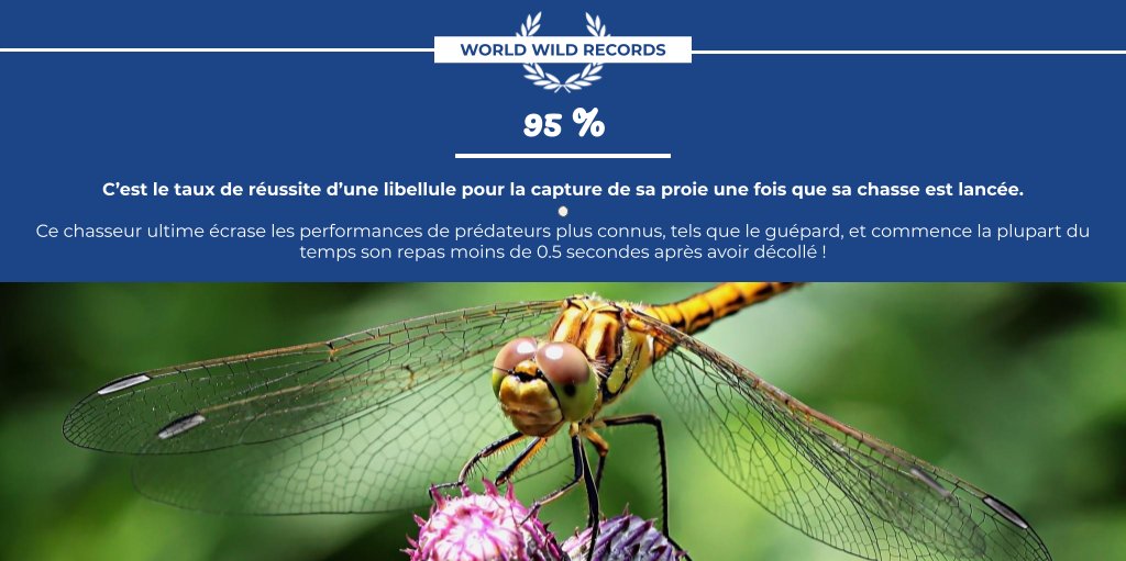 Bioxegy tweet media