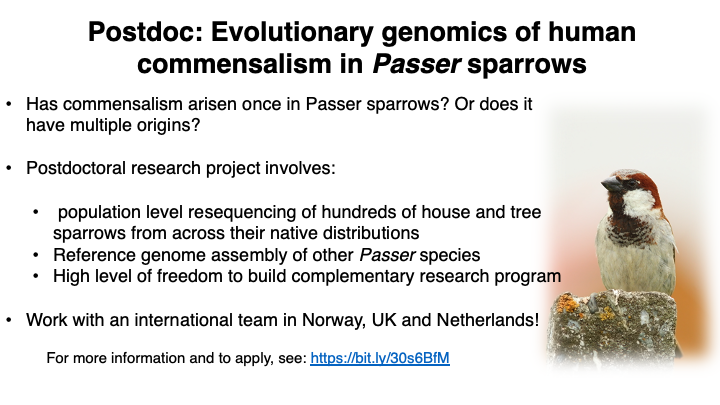 Mark Ravinet (@mark_ravinet) on Twitter photo Please RT! <a href="/GlennPeter/">Glenn-Peter Sætre</a> @melissah_rowe and I are looking for a #Postdoc Come work <a href="/biovitenskap/">Department of Biosciences, University of Oslo</a> on evolutionary #Genomics of Passer sparrows and investigate their commensal origin. See: bit.ly/30s6BfM for more info - enquiries welcome! #Bioinformatics #postdocjobs Please RT! <a href="/GlennPeter/">Glenn-Peter Sætre</a> @melissah_rowe and I are looking for a #Postdoc Come work <a href="/biovitenskap/">Department of Biosciences, University of Oslo</a> on evolutionary #Genomics of Passer sparrows and investigate their commensal origin. See: bit.ly/30s6BfM for more info - enquiries welcome! #Bioinformatics #postdocjobs