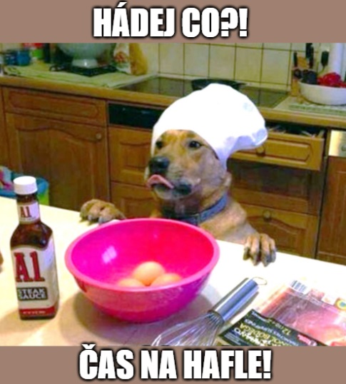 Čas na hafle! 😍 #doggomag #doggo #dog #zivotsepsem #pes #meme