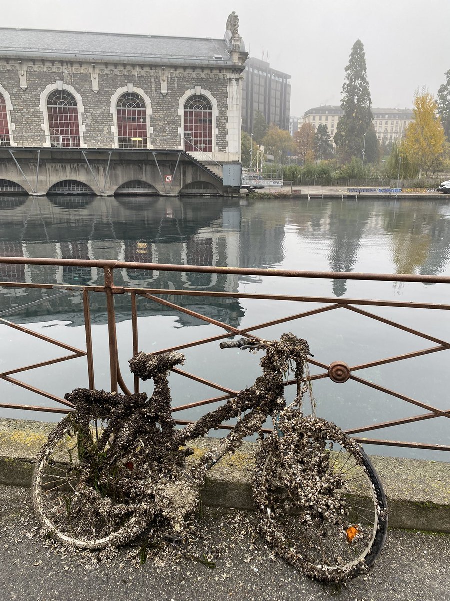 Dominik Olivier (@olivierdominik) on Twitter photo The final Countdown #COP26  #Geneva The final Countdown #COP26  #Geneva