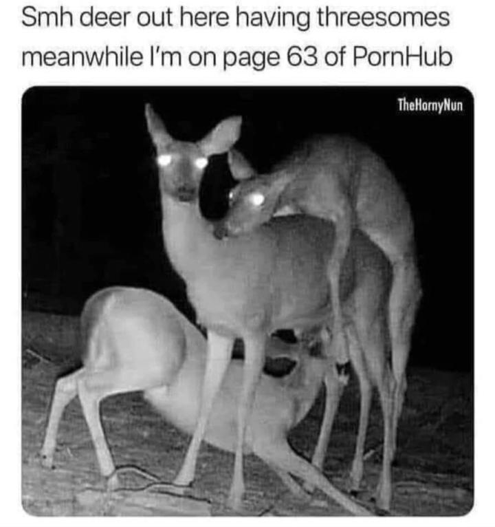 myunclesmemes's tweet photo. I'm jealous https://t.co/wAoCZ1oIFO