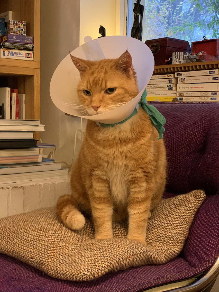 coding_grrrl's tweet photo. Low tech seti@home https://t.co/h81F2EYw7e