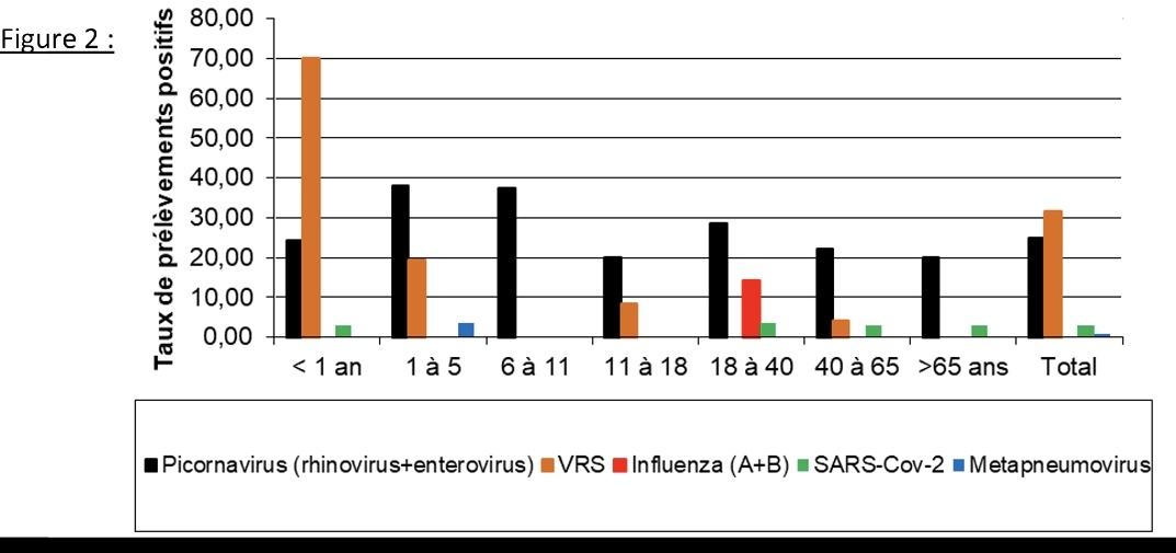AlexandreGayma3's tweet photo. @C_A_Gustave Différence due aux autres viroses respiratoires. Les rhinovirus, les enteroviruses (notamment EV-68) sont très majoritaires dans certains groupes d'âges. Il y a dernièrement également pas mal de parainfluenza type 3... Tous responsable de tableau de bronchiolites. https://t.co/WIN3ApNjHV