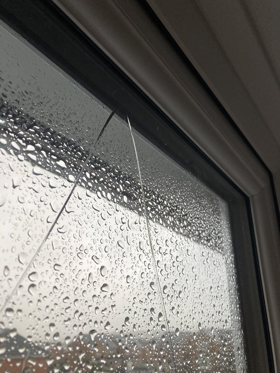 Oh for Christ’s sake. What a start to the day 🤦🏼‍♀️