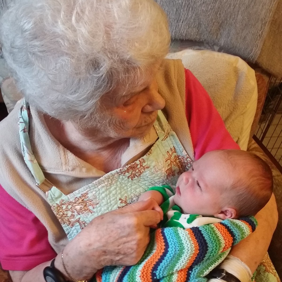 Josephine Ross tweet media