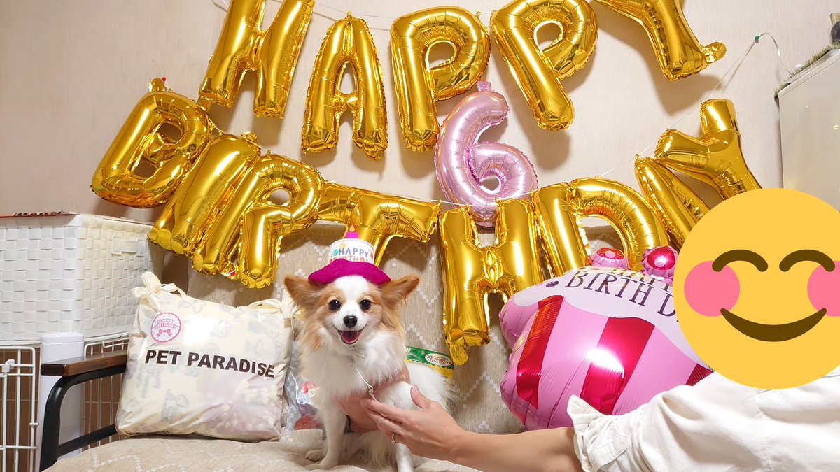 framfram0922's tweet photo. 実は先日、我が家のきつねさん、
カリンが6歳の誕生日を迎えました🎉🎉🎉

うちに来て２回目の誕生日会❤
時が経つのは早いものです😂
この日の様子がYouTubeにありますので、
またよかったらご覧下さい🤭❤ https://t.co/iUrSjXxcE0