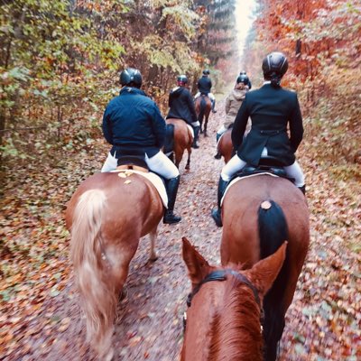 MrsMerliah's tweet photo. #NewProfilePic https://t.co/b5YCSroEv8