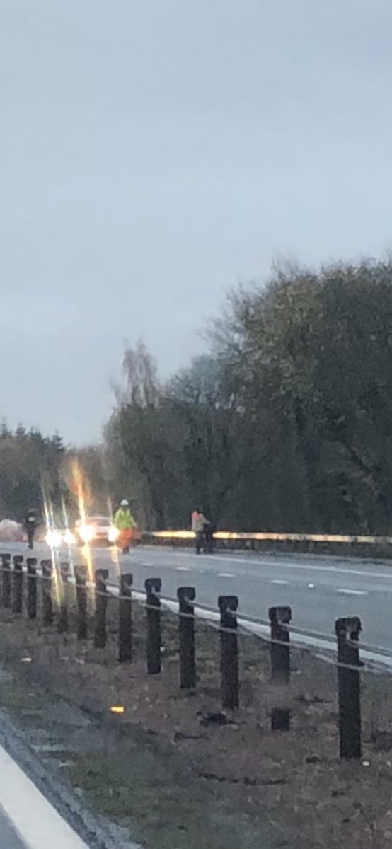 SunnysidePri's tweet photo. Yay to @PoliceScotland & pals for saving the horse on the M80 this morning! #NeighBother ๐๐๐๐ผ๐ https://t.co/pl4Du7UWAh