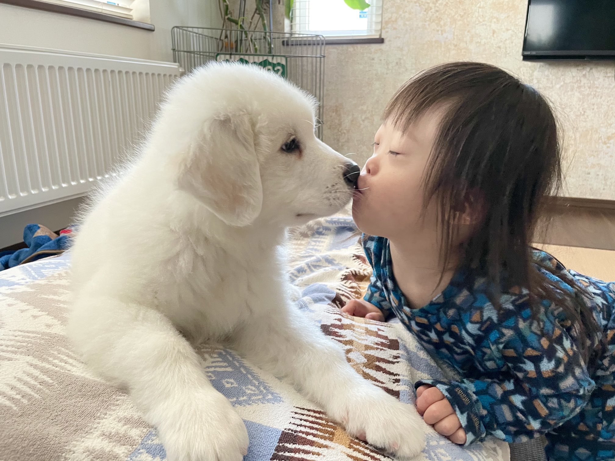 超大型犬と子供 Twitter Search Twitter