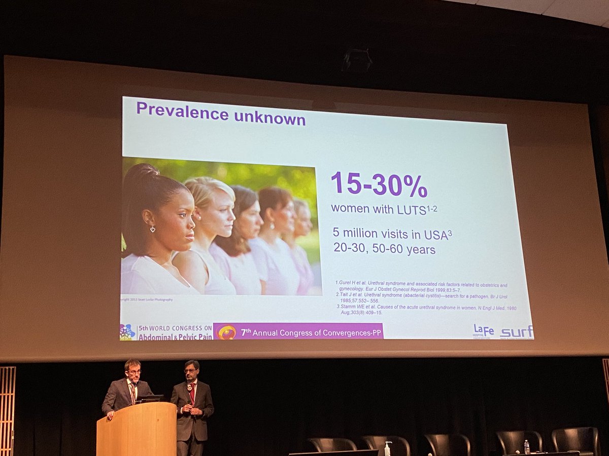 APP_IASP's tweet photo. Moving on to Urinary Pain Syndrome with a notice up front of the talk that there is little evidence for treatments.
There is also an estimate of 20% of women will suffer from Urethral Pain Syndrome.
#WCAPP https://t.co/43hmTfvZa9