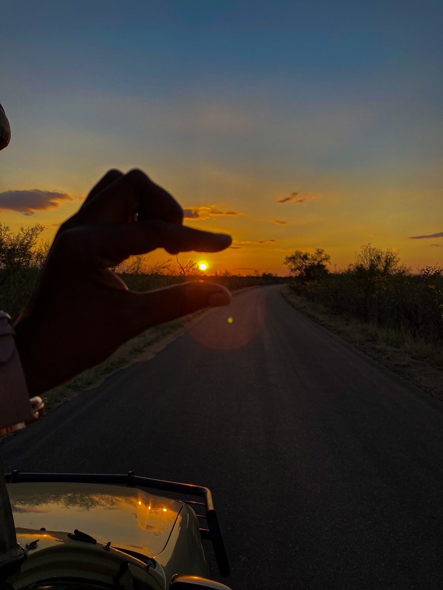 TheRealPam_'s tweet photo. Somewhere on your journey don’t forget to stop and enjoy the view @Elize0801 @on_kruger #travelsafari #babybushadventures #bushvillasonkruger #wildlife https://t.co/7BTFp8FGXd