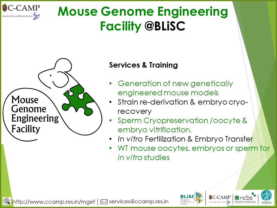 CCAMP_India's tweet photo. Need custom mouse models? 

Access CCAMP @BLiSC_India Mouse Genome Engineering Facility #MGEF for
*Transgenic mice strains
*Strain re-derivation &amp; embryo cryo-recovery
*WT oocyte/embryo/sperm 
*In-vitro Fertilization &amp; more 

🔗https://t.co/pC3rQ88CwX
📧services[at]ccamp. res. in https://t.co/1jwfBXOBY6