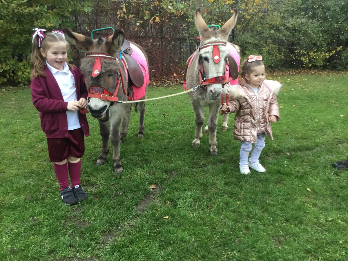 RimroseHope's tweet photo. More than a hobby... horse! #hoofingit https://t.co/RCBE2j0Tvi