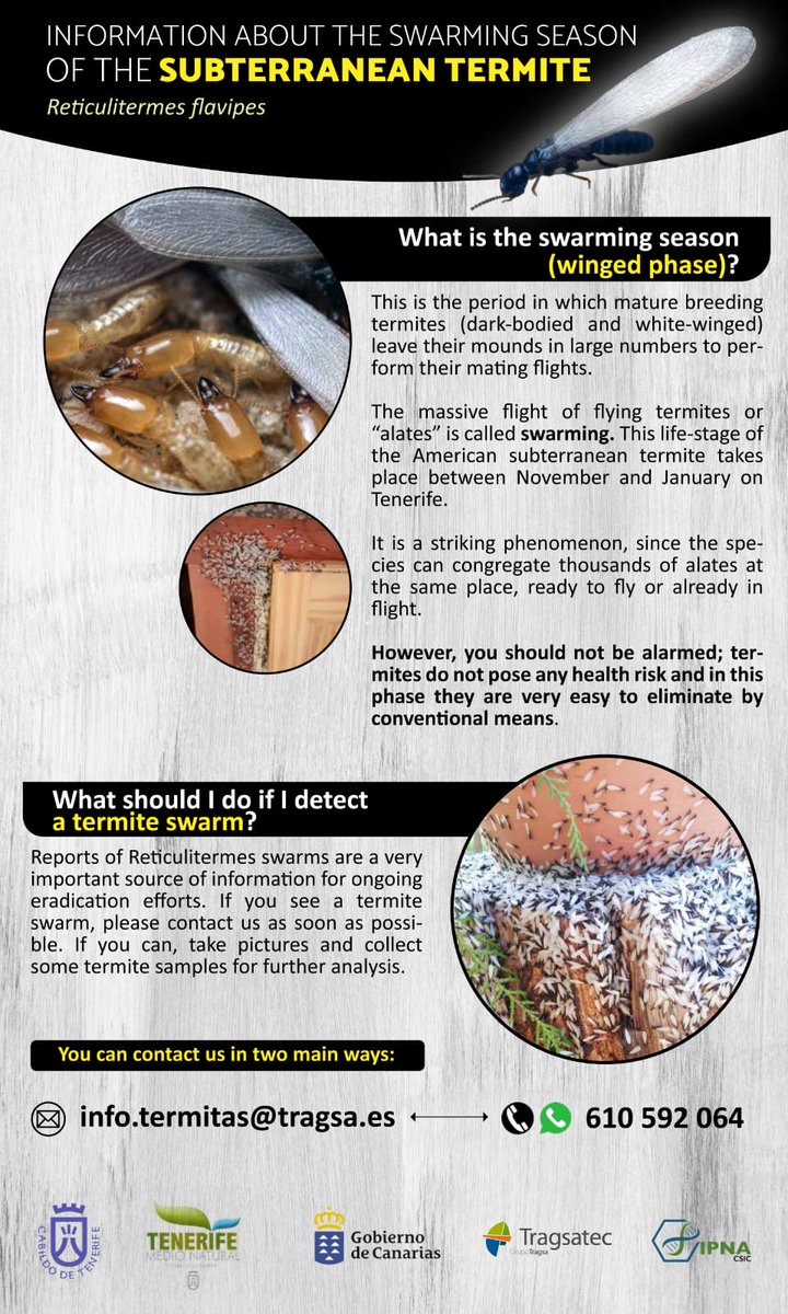 SentriTech tweet media